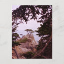 Buscar monterey postales Ciprés