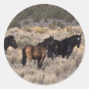Buscar mustang pegatinas Desierto