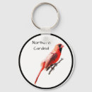 Buscar cardenales accesorios Escarlata