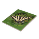 Buscar crudo posavasos Verde