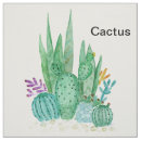 Buscar cactus telas Espinoso