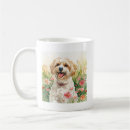 Buscar havanese tazas Mugre havanesa