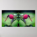 Buscar libélula posters Para ella