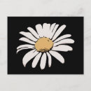 Buscar margaritas florales postales Digital