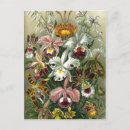 Buscar haeckel postales Ernst