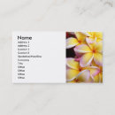 Buscar frangipani tarjetas de visita Plumeria