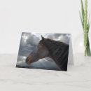 Buscar raza del caballo tarjetas General y unisex