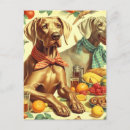 Buscar weimaraner postales Cachorro