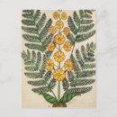 Buscar fleurs postales Flor