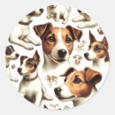 Buscar jack russell terrier pegatinas Cachorro