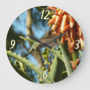 Buscar hummingbird relojes de pared Naturaleza