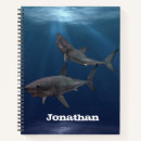 Buscar tiburones cuadernos Tiburón