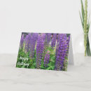 Buscar flores altas tarjetas Floral