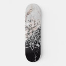 Buscar piedra tablas de skate Naturaleza