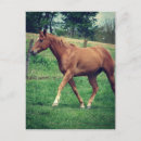 Buscar scotch postales Angelandspot