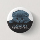 Buscar kitten chapas Gatito