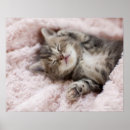 Buscar retrato japonés posters Japón