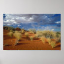 Buscar desierto de kalahari posters Día