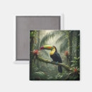 Buscar tucan imanes Exótico