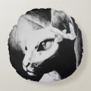 Buscar gato del sphynx cojines Gatito