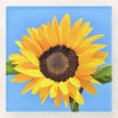 Buscar vidrios de sol Amarillo