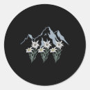 Buscar edelweiss pegatinas Montañas