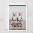 Buscar hermanos invitaciones Para ellos