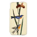 Buscar pintura del pájaro iphone fundas Pájaros de américa