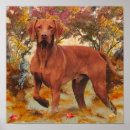 Buscar vizsla arte Otoño