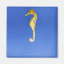 Buscar seahorse imanes Azul
