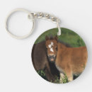 Buscar caballo miniatura llaveros Gallina