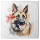 Buscar perro de pastor alemán azulejos Canino
