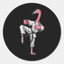 Buscar kung fu pegatinas Kickboxing