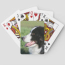 Buscar sacudida barajas de cartas Sacudida y pam langrish