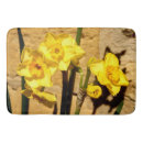 Buscar jonquil Naturaleza