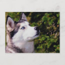 Buscar búsqueda postales Animales