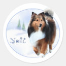Buscar perro pastor pegatinas Sheltie