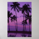 Buscar cielo nocturno posters Noche