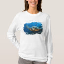Buscar tortuga negra camisetas Chelonia mydas