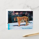 Buscar tigre chino postales Naturaleza