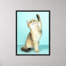 Buscar gatitos lienzos General y unisex