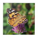 Buscar photo azulejos Naturaleza