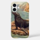 Buscar mamíferos fundas Océano