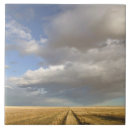 Buscar albert azulejos Rural