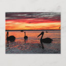 Buscar mia postales General y unisex