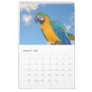 Buscar aves calendarios Animales
