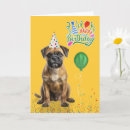 Buscar perro amarillo tarjetas Para todos