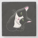 Buscar vectores posavasos Gatito