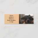 Buscar enchufe tarjetas de visita Perrito