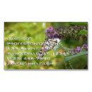 Buscar mariposa monarca tarjetas de visita Fotografía